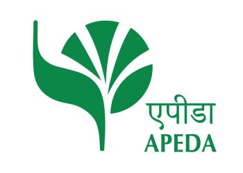 APEDA Facilitates First Export of Premium Kashmir Cherries and Plums to Singapore