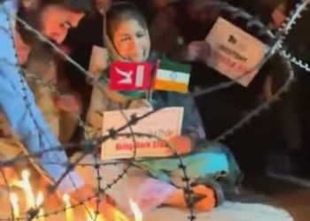 Upside Down Tricolour Sparks Controversy During PDP Protest Against Article 370 Abrogation