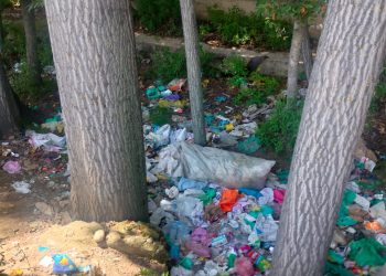 Garbage crisis grips Anantnag villages as RDD collection stalls