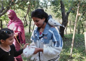 ₹20 for a Pose: How a Kashmiri Woman Turned Pigeon Selfies into a Livelihood